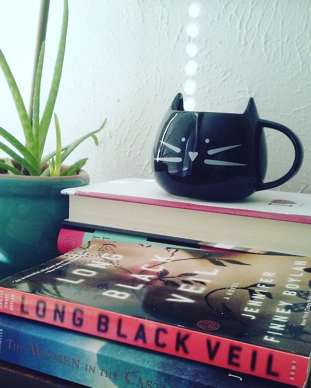 Photo of black-and-white cat face-shaped mug sitting atop hardcover books (titles not shown, but the second one has a BOTM logo), with two paperback books in front of them ("The Women in the Castle" and "Long Black Veil"); in the far corner to the side of the hardcover books is a turquoise-painted clay pot holding aloe vera. The surface, although a peek, is wood painted black.
