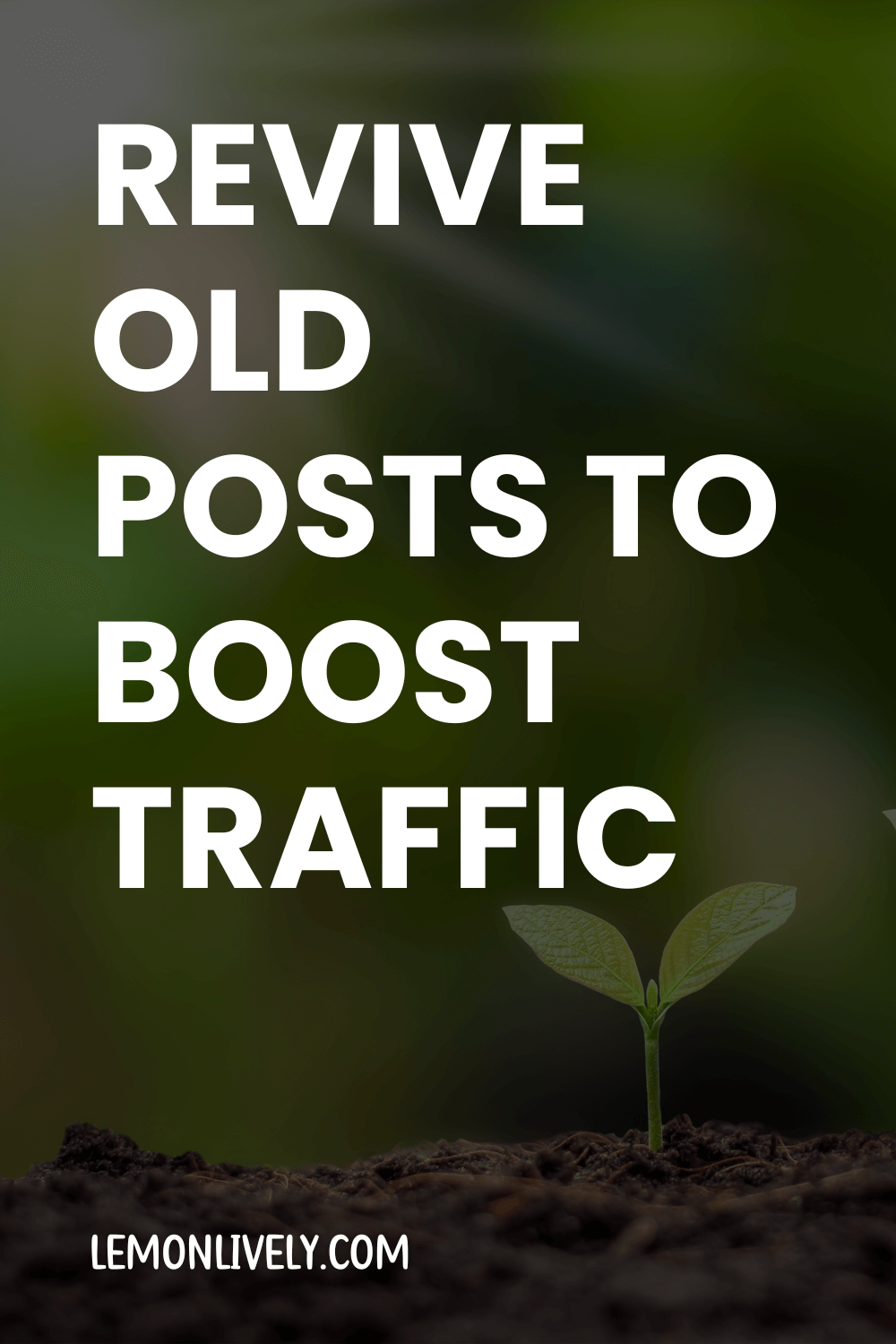 Post thumbnail for How to revive old blog posts & boost traffic 📈