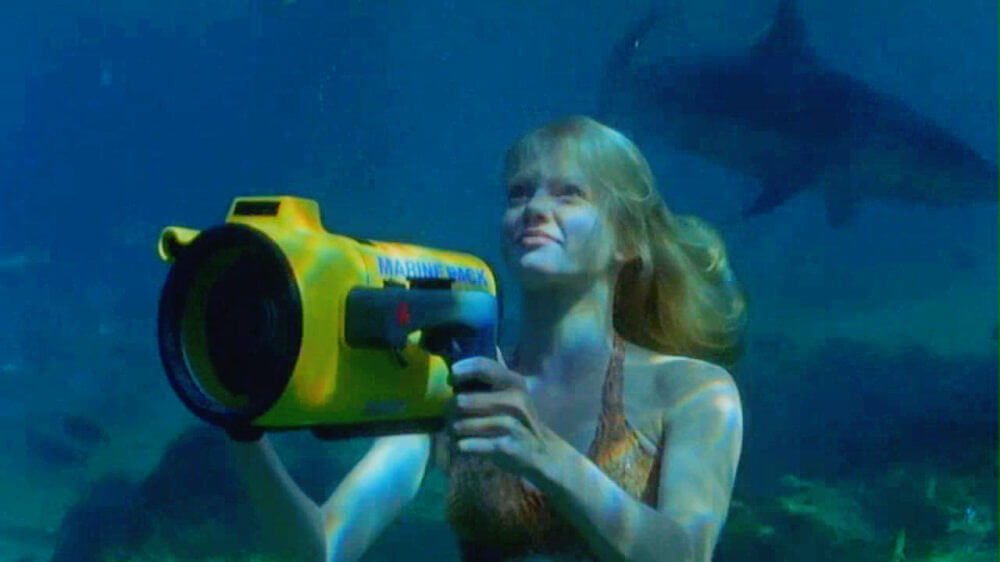 Rikki filming the sharks by Mako Island