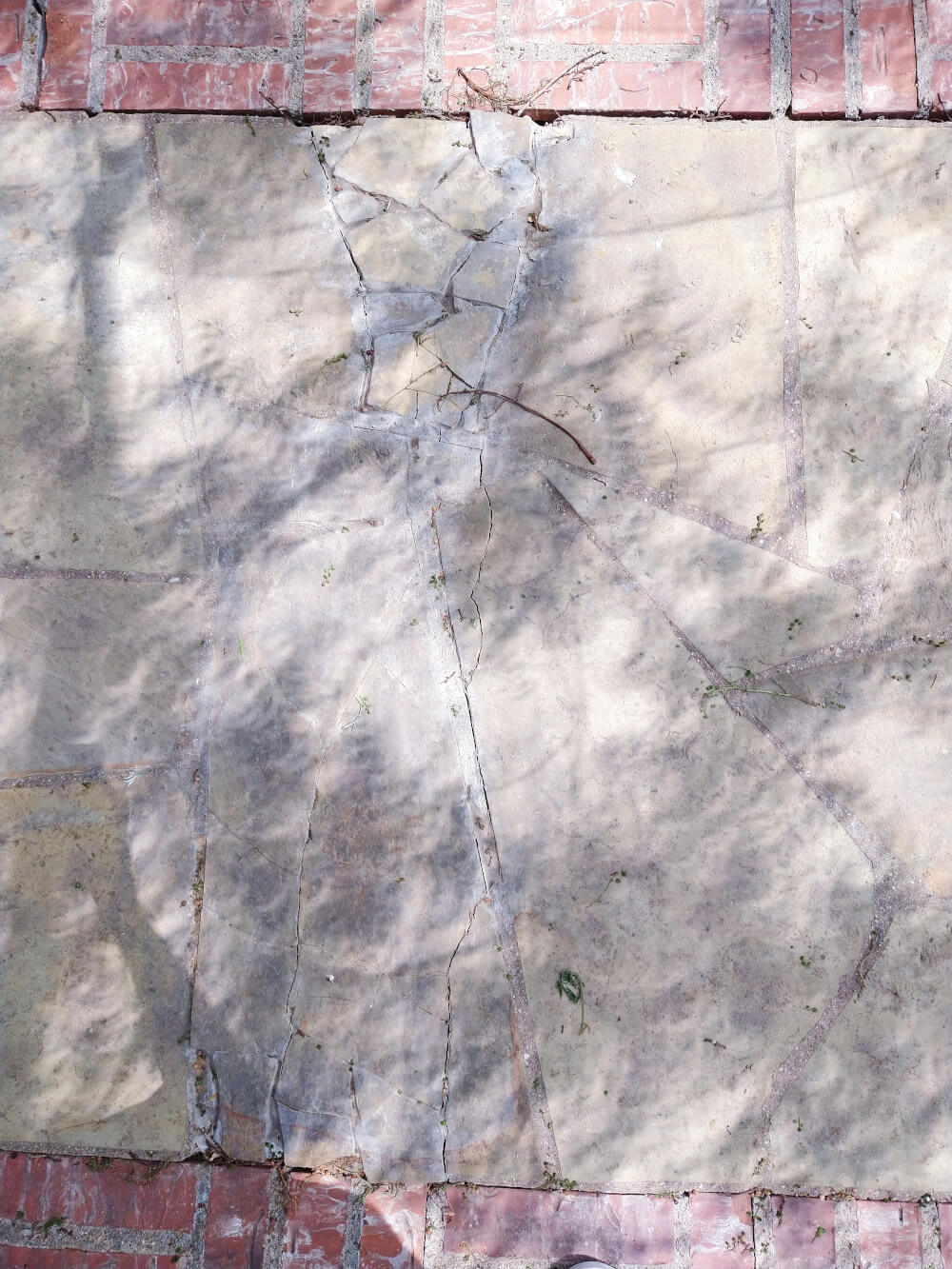 Shadow bands during solar eclipse, plus the eclipse projected through the trees. on a stone private walk
