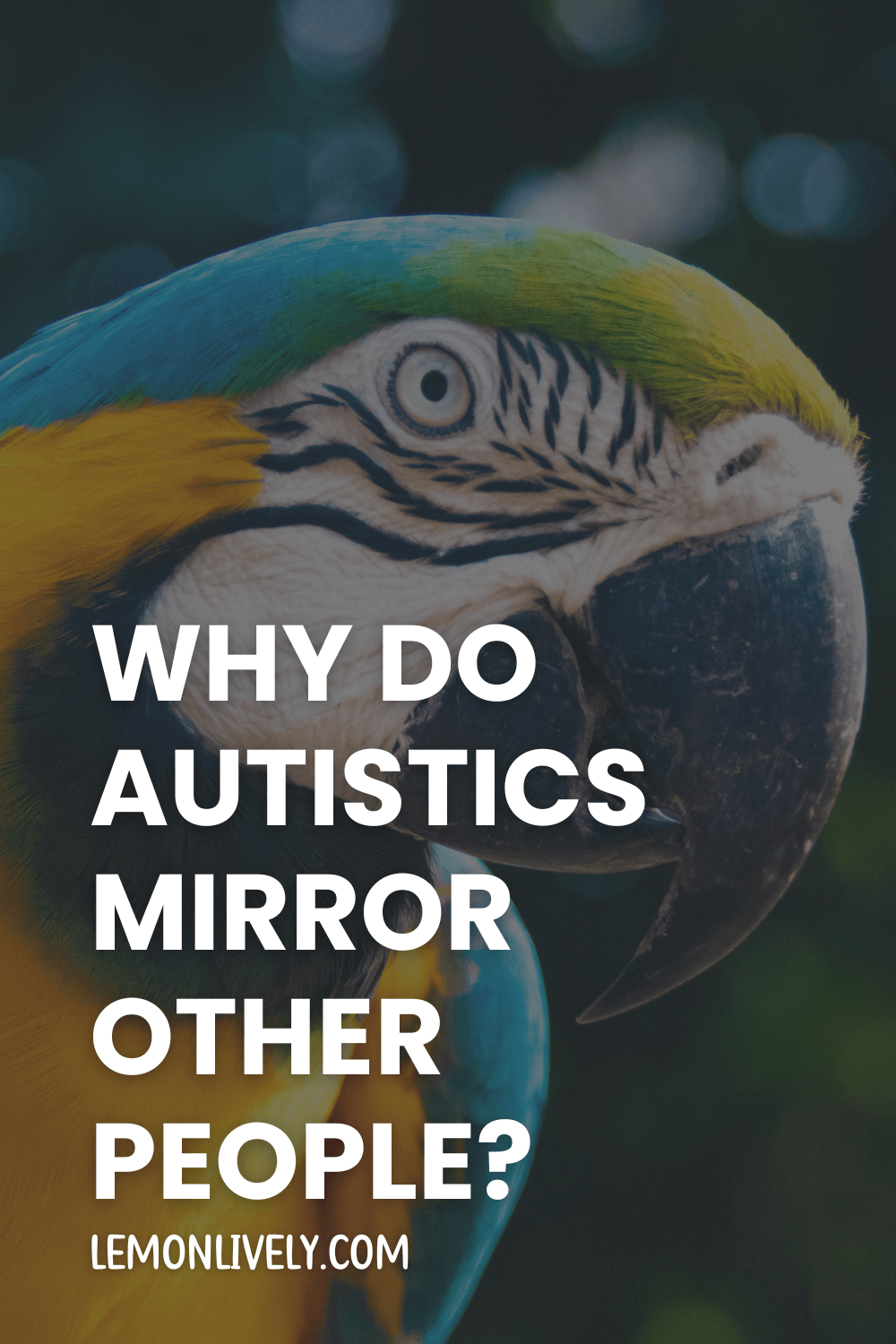 Post thumbnail for Why do autistic people mimic you?